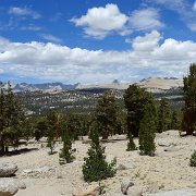SouthernSierra 728 : SouthernSierra
